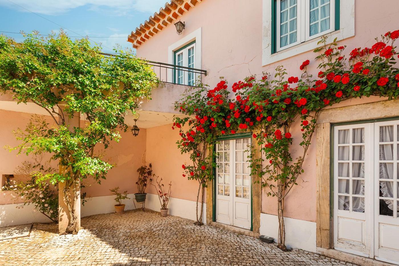 Casa Da Avo Genoveva Guest House Tomar Ngoại thất bức ảnh
